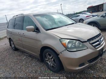  Salvage Honda Odyssey