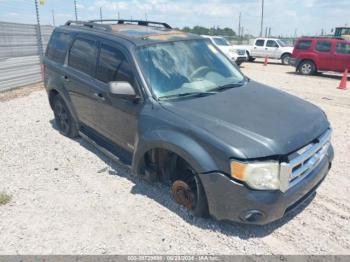  Salvage Ford Escape