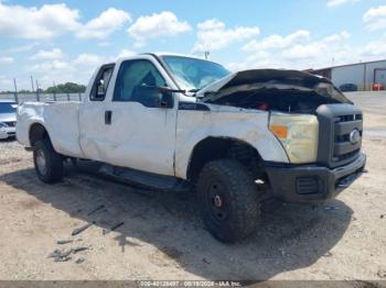  Salvage Ford F-250