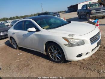  Salvage Nissan Maxima