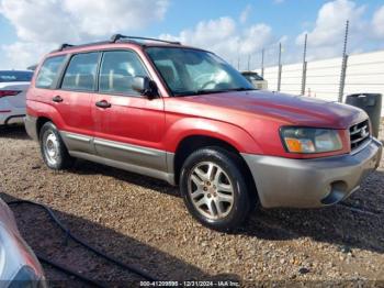  Salvage Subaru Forester