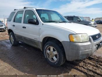  Salvage Ford Escape