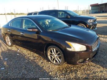  Salvage Nissan Maxima