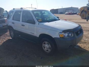  Salvage Ford Escape