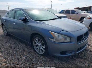  Salvage Nissan Maxima