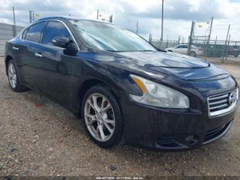  Salvage Nissan Maxima
