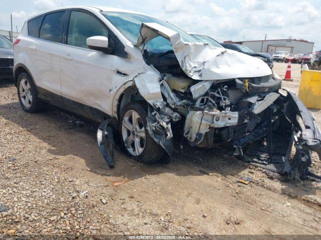  Salvage Ford Escape