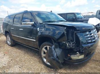  Salvage Cadillac Escalade