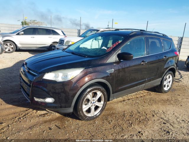 Ford Escape Se Image 7
