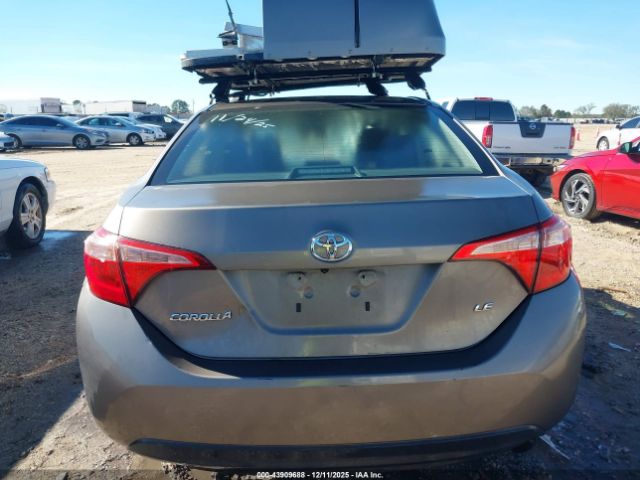 Toyota Corolla Le Image 2