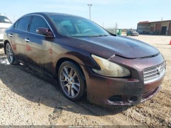  Salvage Nissan Maxima