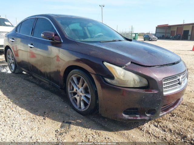  Salvage Nissan Maxima
