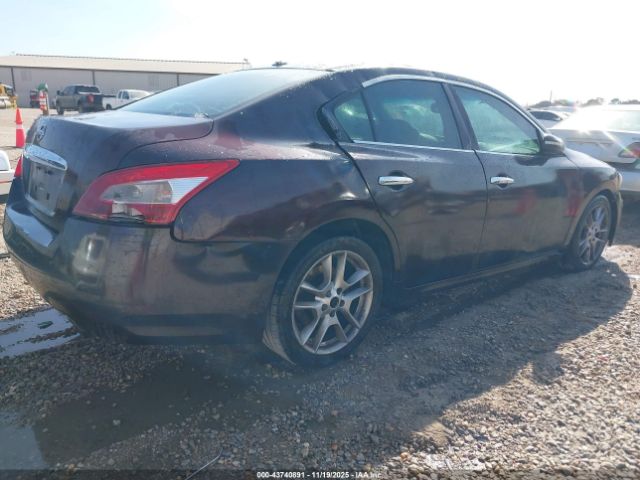 Nissan Maxima 3.5 Sv Image 5