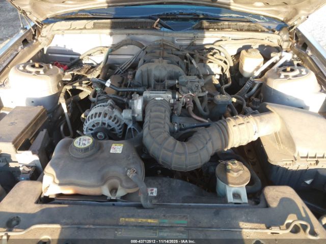 Ford Mustang Image 9