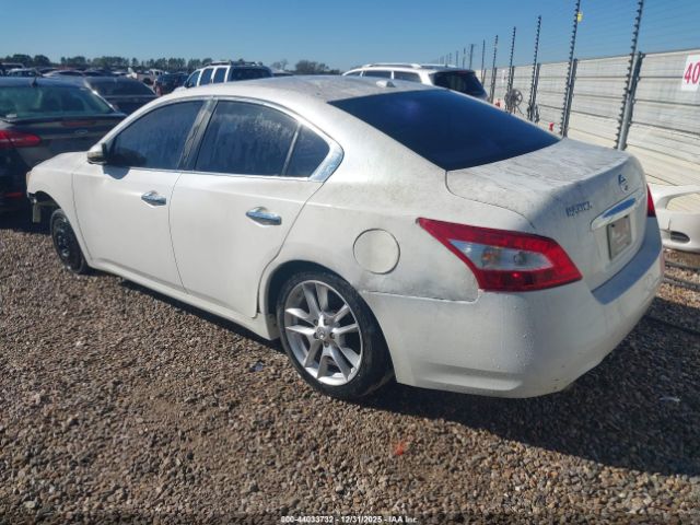 Nissan Maxima 3.5 Sv Image 12