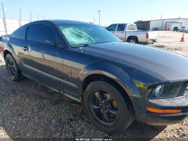 Ford Mustang Image 3