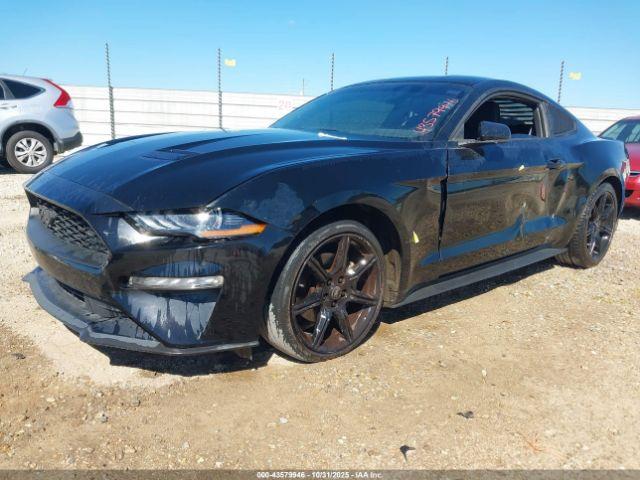 Ford Mustang Ecoboost Fastback Image 6