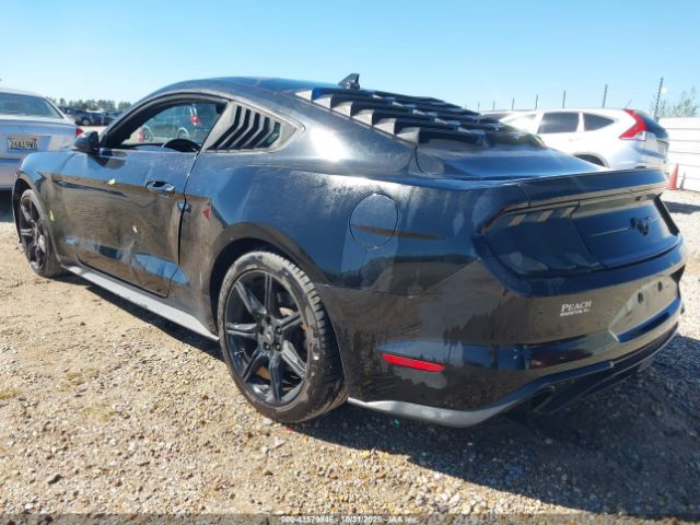 Ford Mustang Ecoboost Fastback Image 2