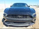 Ford Mustang Ecoboost Fastback Image 11