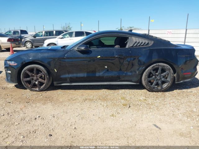 Ford Mustang Ecoboost Fastback Image 3