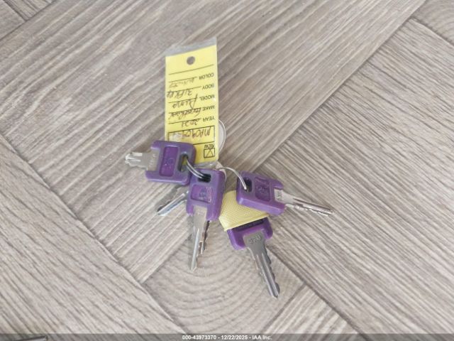 Forrest River Puma Image 11